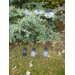 Single Solar Light Flower