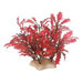 Natural Elements Crimson Water Holly Aquarium Ornament in Crimson
