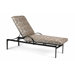 Southern Cay Chaise Lounge with Cushion