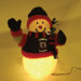 NCAA 16" Fiber Optic Snowman