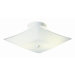 2 Light  Flush Mount