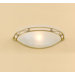 Modern Dali One Light Wall Sconce