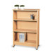 Wood Bookcase with 3 Shelves