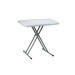 Personal Tray Table (4 pack)