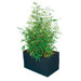 Kenji Rectangular Planter Box