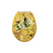 Scenic Premium Toilet Seat with Money Design in Gold