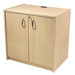 Locking Storage Cabinet