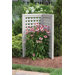 Corner Plant Screen