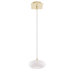 1 Light Oval Glass Pendant