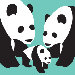 Animal - Three Pandas Stretched Wall Art
