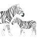 Animal - Zebra Stretched Wall Art