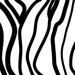 Pattern - Zebra Stripes Stretched Wall Art