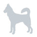 Silhouette - Dog Stretched Wall Art