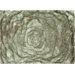 Glamour Beige Rug