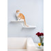 Clouds Wall Mounted Faux Fur and Metal Cat Perch