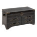 Storage Trunk Accent Furniture