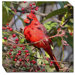 Cardinal in Berries Outdoor Canvas Art