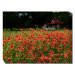 Old Homestead Outdoor Canvas Art