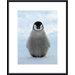 B-R-R-R-R-R-R! Metal Framed Art Print
