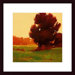 Early Fall by Greg Stocks Wood Framed Art Print