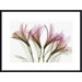 Alstromeria bu Steven N. Meyers Metal Framed Art Print