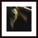 Spirit Horse by Tony Stromberg Wood Framed Art Print