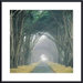 Corridor of Cypress by E. Loren Soderberg Metal Framed Art Print