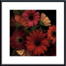Jubilee I Metal Framed Art Print