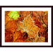 Frost on Leaf Wood Framed Art Print