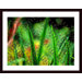 Rusted Springs Wood Framed Art Print