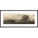 Meadow Oak Tree Metal Framed Art Print