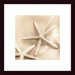 Il Oceano No. 2,Wood Framed Art Print