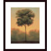 Solitude IV Wood Framed Art Print