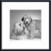 Ruff and Daisy Metal Framed Art Print