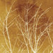 Branches Orange Gallery Wrapped Canvas Art