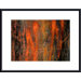 Peeling Paint Abstract Wood Framed Art Print