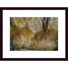 Water and Rock Wood Framed Art Print