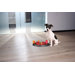 Push Away Dog Activity Game