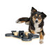 Game Bone Dog Activity Game