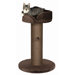 Pepino Scratching Post