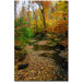 Autumn Stream by Kurt Shaffer, Canvas Art - 24" x 16"