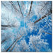 Frozen Sky by Philippe Sainte-Laudy, Canvas Art - 24" x 24"