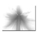 Amaryllis Brilliant by Kurt Shaffer, Canvas Art - 22" x 32"