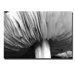 Underneath by Kurt Shaffer, Canvas Art - 22" x 32"