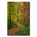Fall Pathway by Kurt Shaffer, Canvas Art - 47" x 30"