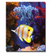 Longnose Butterfly Fish by Amy Vangsgard, Canvas Art - 32" x 26"