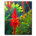 Backlit Aborescense by Amy Vangsgard, Canvas Art - 32" x 26"
