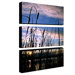 Dreams by Cat Eyes Canvas Art (Set of 3)