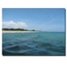 Life in the Keys by David Canvas Art