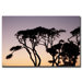 Luminescence by Cary Hahn Canvas Art
